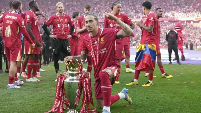 Phong cách thi đấu và thông số chuyên môn