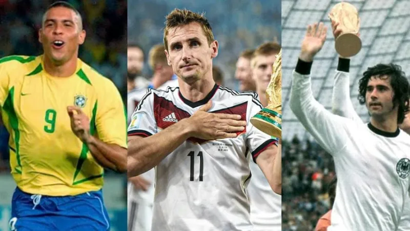 Cách tra cứu và theo dõi thống kê chuẩn xác